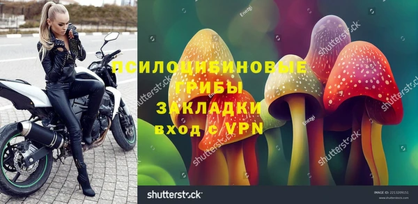 амф Алексин