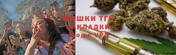 амф Алексин