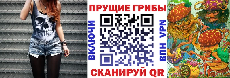 Псилоцибиновые грибы Cubensis  гидра ссылка  Черкесск 